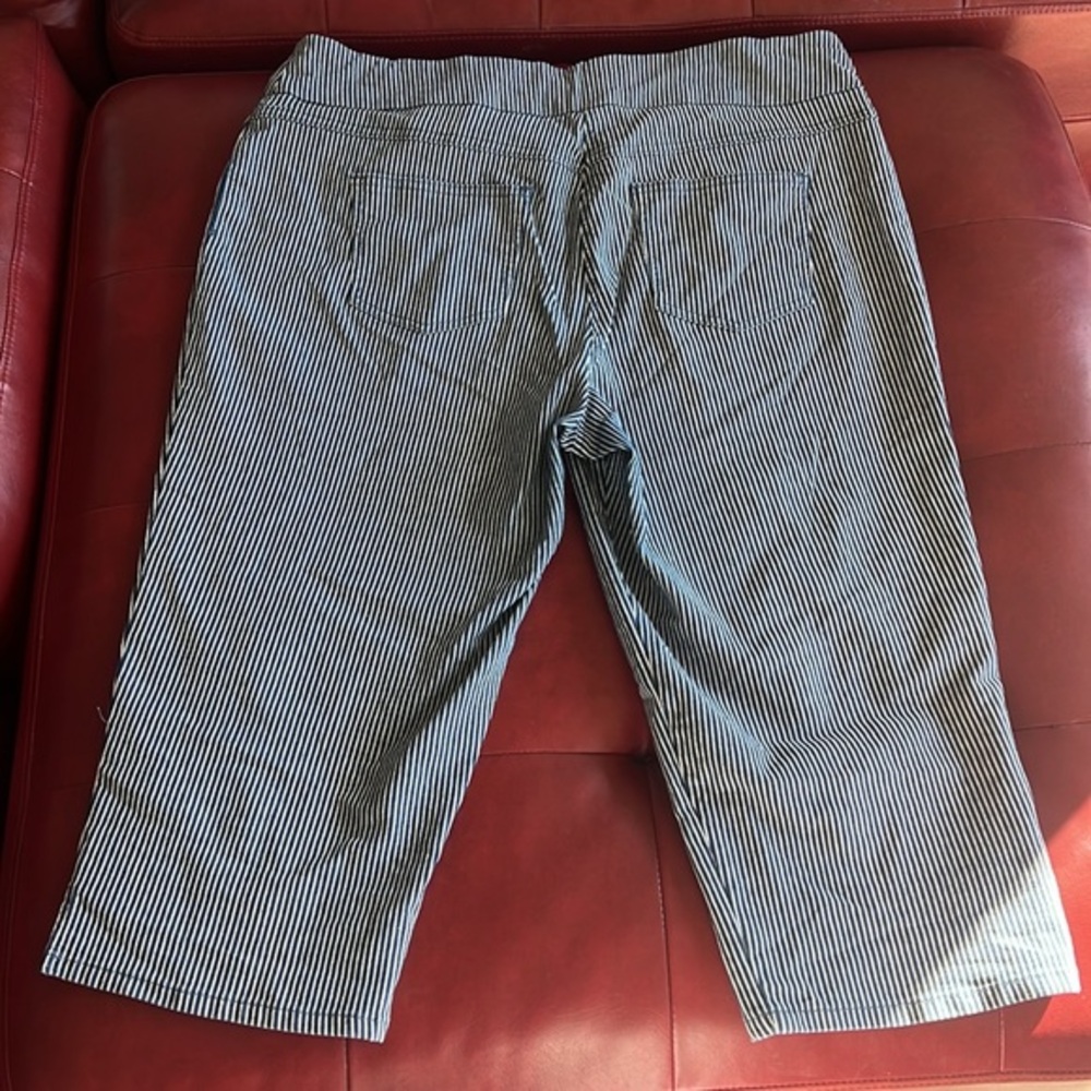 Ruby Rd. Capris - image 5